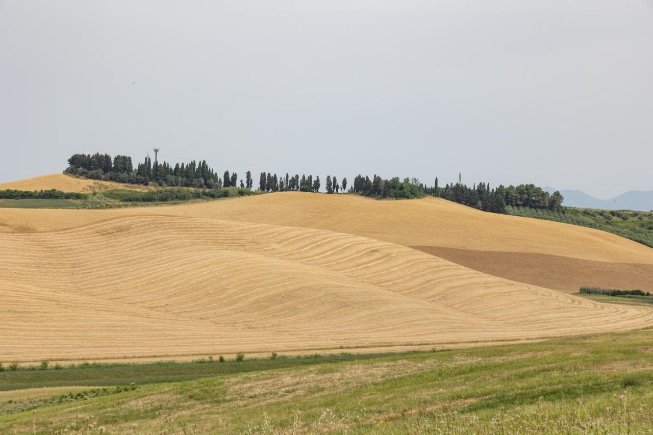Agriturismo La Valle Della Lavanda - Podere Mezzastrada Fauglia المظهر الخارجي الصورة