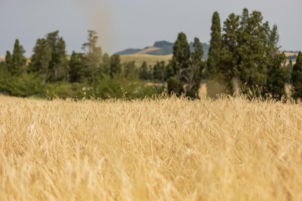 Agriturismo La Valle Della Lavanda - Podere Mezzastrada Fauglia المظهر الخارجي الصورة