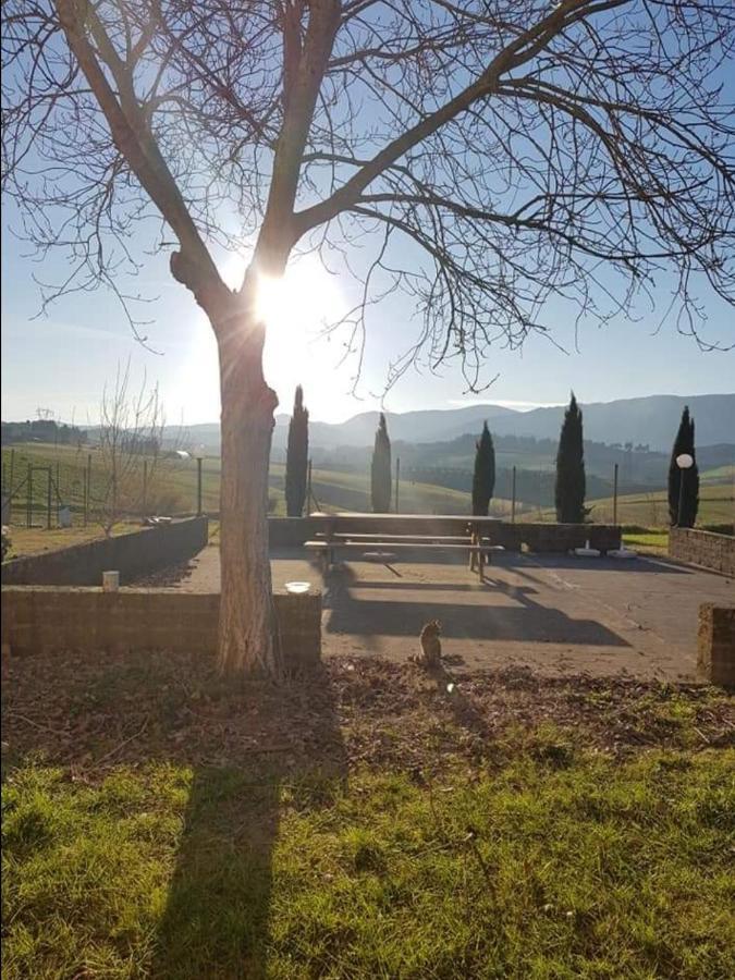 Agriturismo La Valle Della Lavanda - Podere Mezzastrada Fauglia المظهر الخارجي الصورة